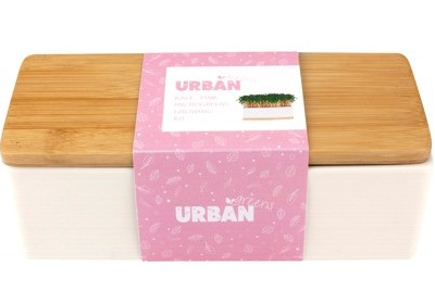 URBAN GREENS - Mini Garden Grow Kit | Pink Kale